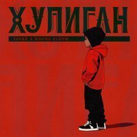 Динара Залумханова - Хулиган
