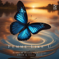 Rodle & DNDM - Friday Night
