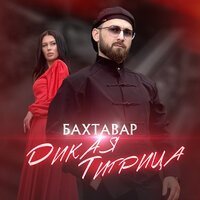 Бахтавар - Зови Меня