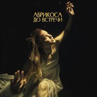 Абрикоса - Бюджет