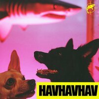 Lvbel C5 - HAVHAVHAV (Версия 2)