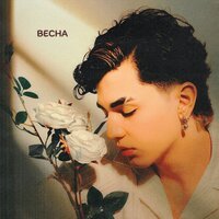 RASA, DASHI - Ресторанная