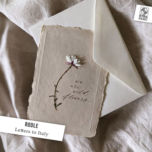 Rodle - Dream 2