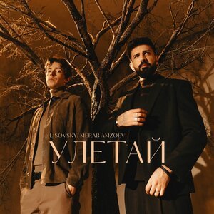 Merab Amzoevi - Были бы крылья