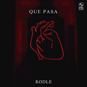 Rodle & DNDM - Friday Night