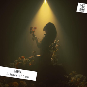 Rodle & DNDM - Friday Night