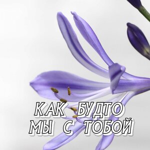 IVE, David Guetta - Supernova Love