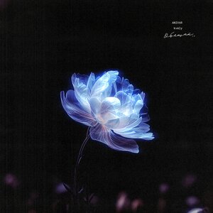 Anivar - Твоя Любовь