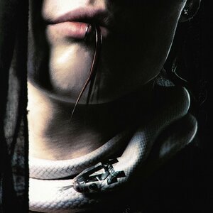 Pepel Nahudi - ONLYYA