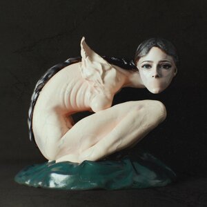 SALUKI - BACC