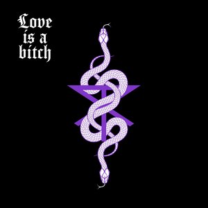 Smash Into Pieces - Higher