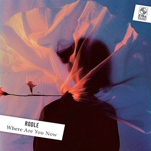 Rodle & DNDM - Friday Night