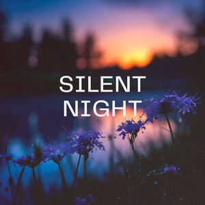 Silent Night Sms